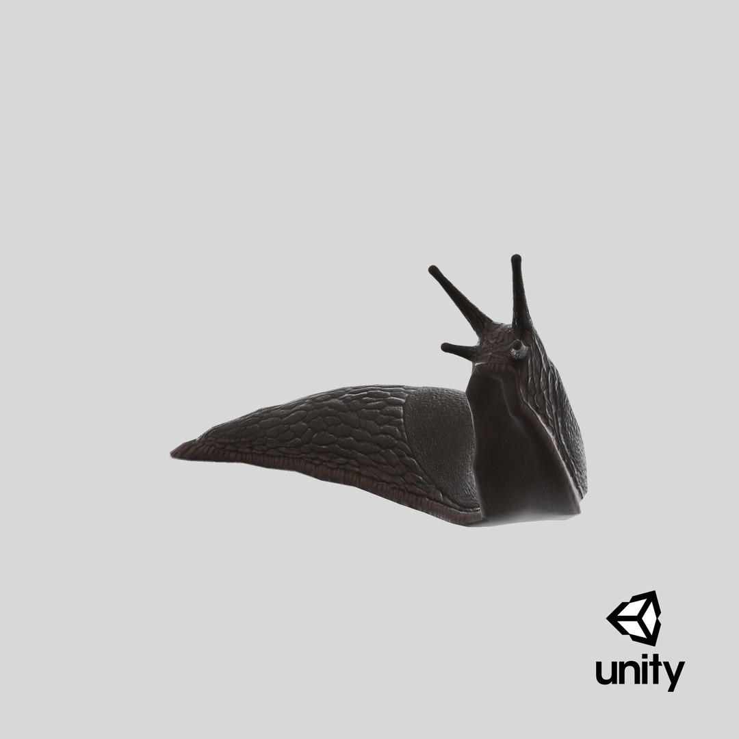 3D Black Slug Reaching Up model https://p.turbosquid.com/ts-thumb/KN/sodbxf/JB/stemcell_unity_render/png/1683490318/1920x1080/fit_q87/26ff62ac0648e964cc9e8d351d8bc3bdd2263961/stemcell_unity_render.jpg