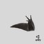 Black Slug Reaching Up