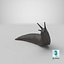 Black Slug Reaching Up