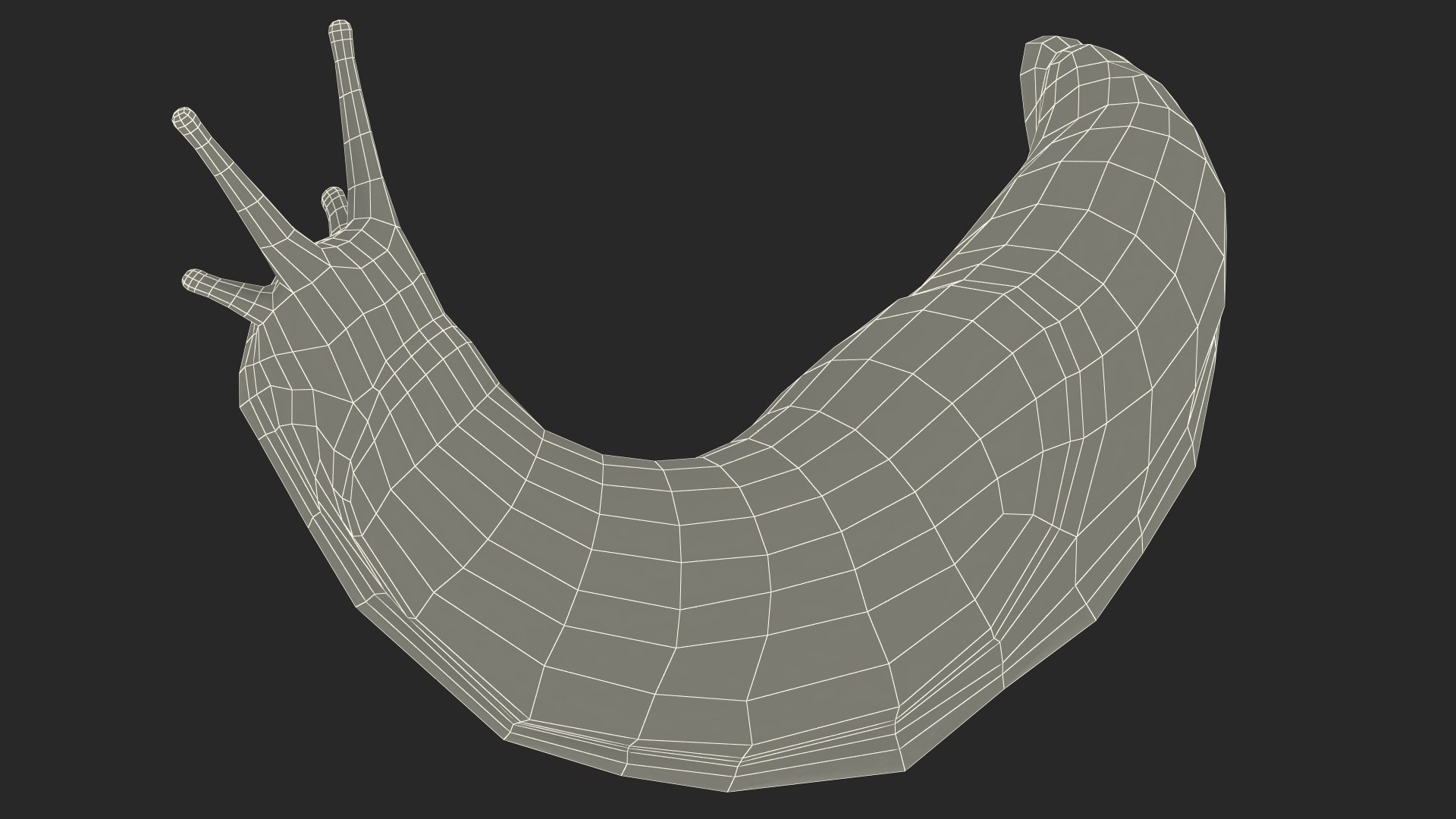 3D Black Slug Reaching Up model https://p.turbosquid.com/ts-thumb/KN/sodbxf/LE/blackslugreachingupc4dmodel022/jpg/1673613494/1920x1080/fit_q87/ada517c485415e2eb71750c016b6ace4a6f9c372/blackslugreachingupc4dmodel022.jpg