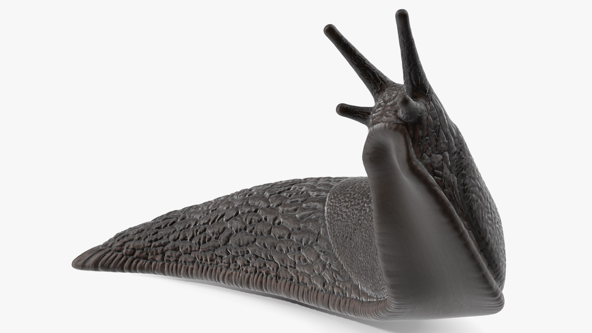 Black Slug Reaching Up 3D model preview