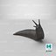 Black Slug Reaching Up