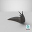 Black Slug Reaching Up