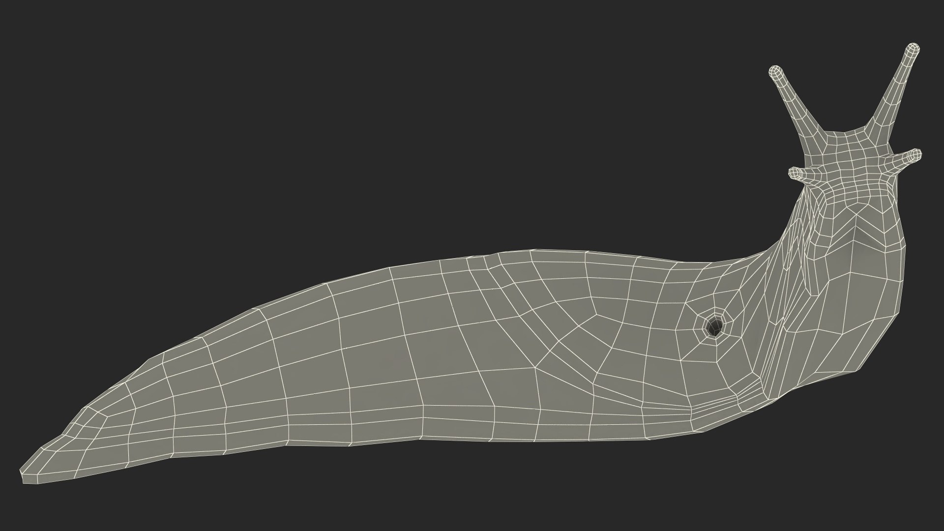 3D Black Slug Reaching Up model https://p.turbosquid.com/ts-thumb/KN/sodbxf/n9/blackslugreachingupc4dmodel020/jpg/1673613489/1920x1080/fit_q87/350be5b545ea3457c60b3627b29887ae3cefd008/blackslugreachingupc4dmodel020.jpg