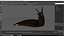 Black Slug Reaching Up