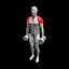 Animationspaket für Fitnessübungen