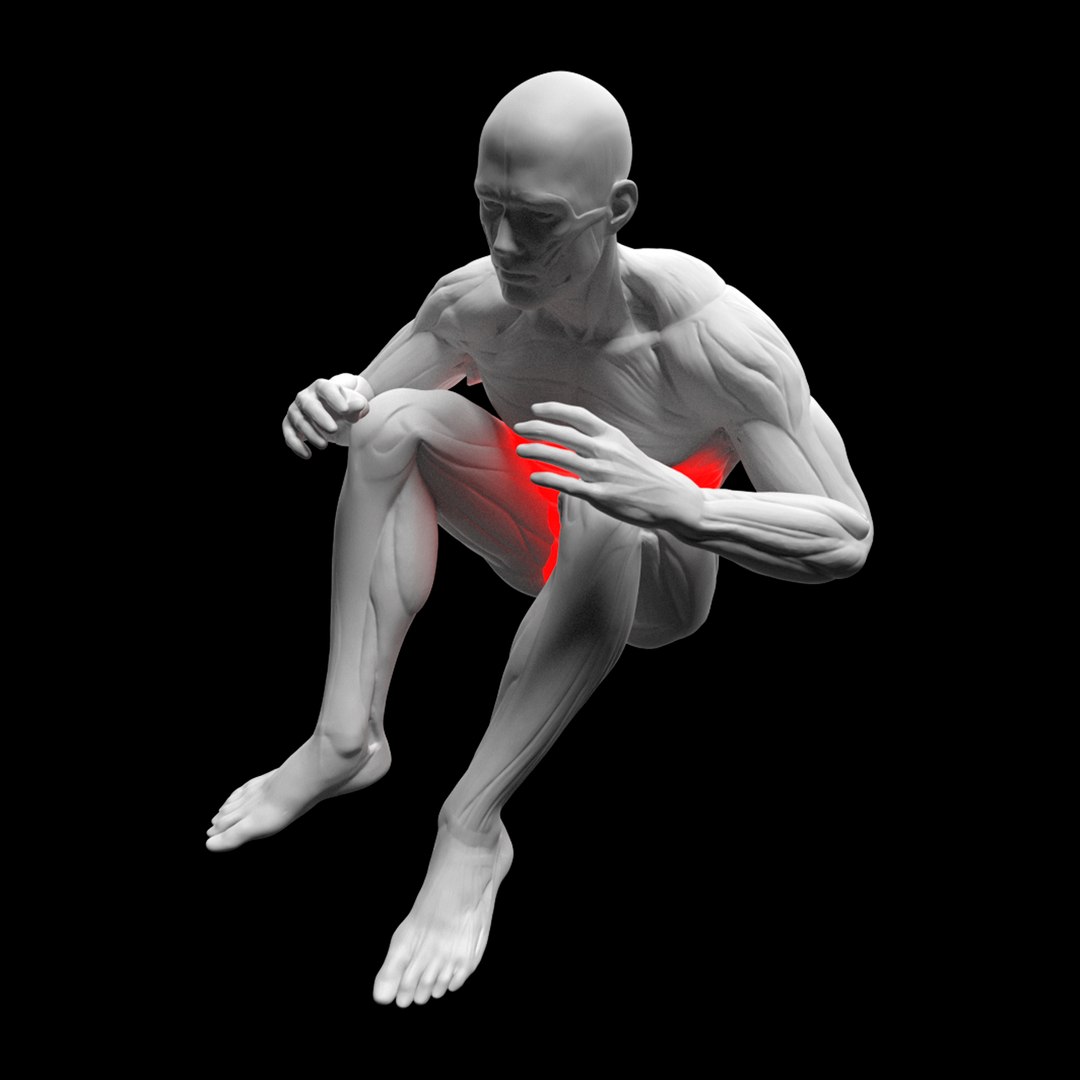Gym Exercise Animations Pack 3D model https://p.turbosquid.com/ts-thumb/KN/xODIUV/90/y/png/1722333760/1920x1080/fit_q87/60bdd213ad32a6aeb5d1b7a9a2036ce94aa744cf/y.jpg