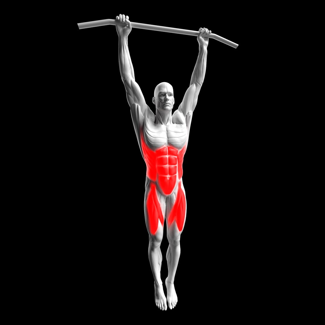 Gym Exercise Animations Pack 3D model https://p.turbosquid.com/ts-thumb/KN/xODIUV/BX/aa/png/1722333769/1920x1080/fit_q87/b2a3c4b729495d49205922d1d06bd2317bedd73a/aa.jpg