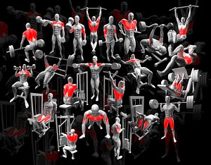 Gym Exercise Animations Pack 3D model