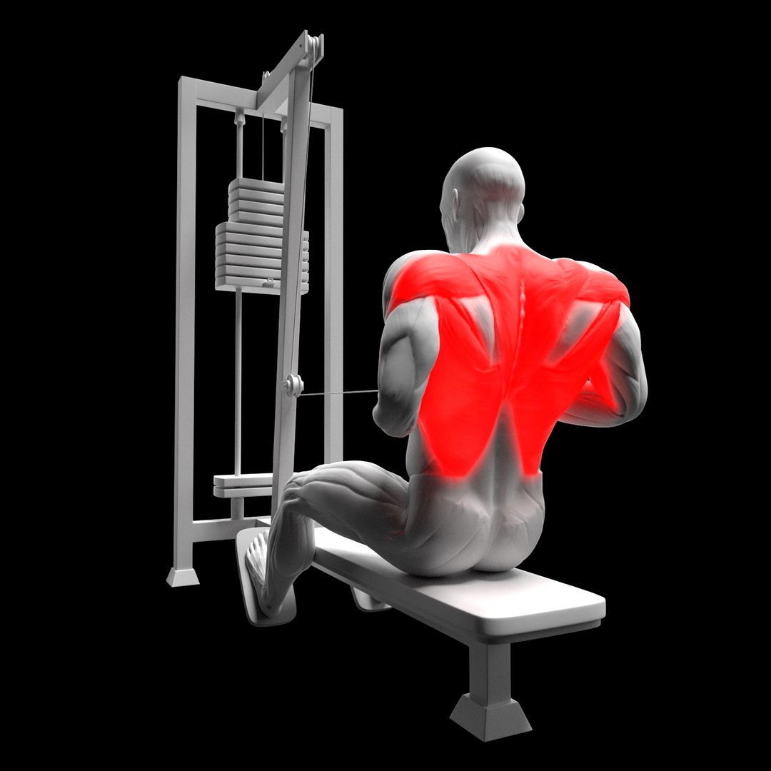 Gym Exercise Animations Pack 3D model https://p.turbosquid.com/ts-thumb/KN/xODIUV/K6/hh/png/1722333860/1920x1080/fit_q87/b51422afe75d8c4cb66317f485658dcd19281d3d/hh.jpg