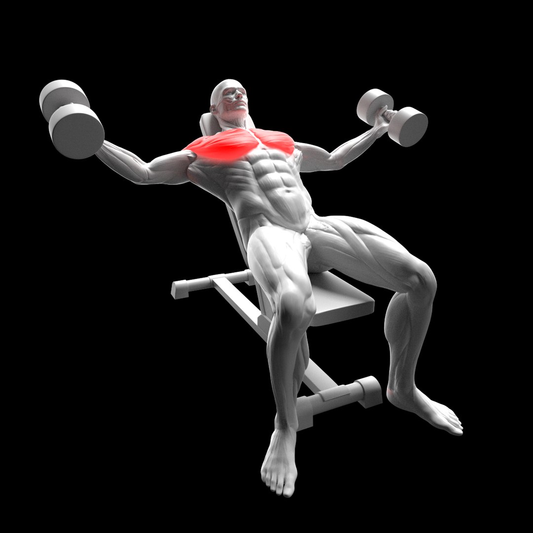 Gym Exercise Animations Pack 3D model https://p.turbosquid.com/ts-thumb/KN/xODIUV/ML/e/png/1722333619/1920x1080/fit_q87/4a496e7ed20ce9f9a738ea91db03a8bb28d0c2d8/e.jpg