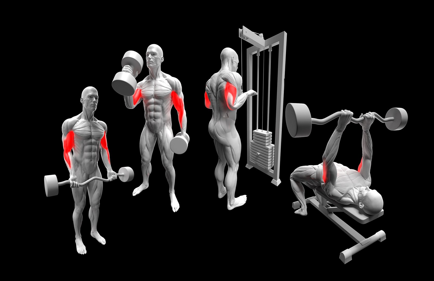 Gym Exercise Animations Pack 3D model https://p.turbosquid.com/ts-thumb/KN/xODIUV/cW/22/png/1722333332/1920x1080/fit_q87/1b4bf6a9aa206f897516cbc68e32ab3b24923345/22.jpg