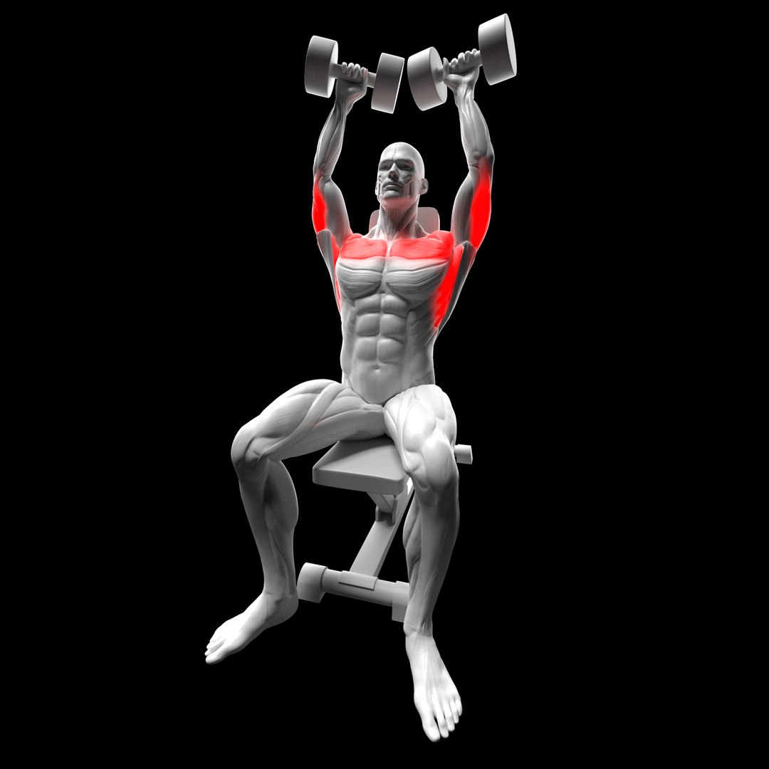 Gym Exercise Animations Pack 3D model https://p.turbosquid.com/ts-thumb/KN/xODIUV/ci/u/png/1722333717/1920x1080/fit_q87/e407f22bc70ef5f839f84311c931a68591187996/u.jpg