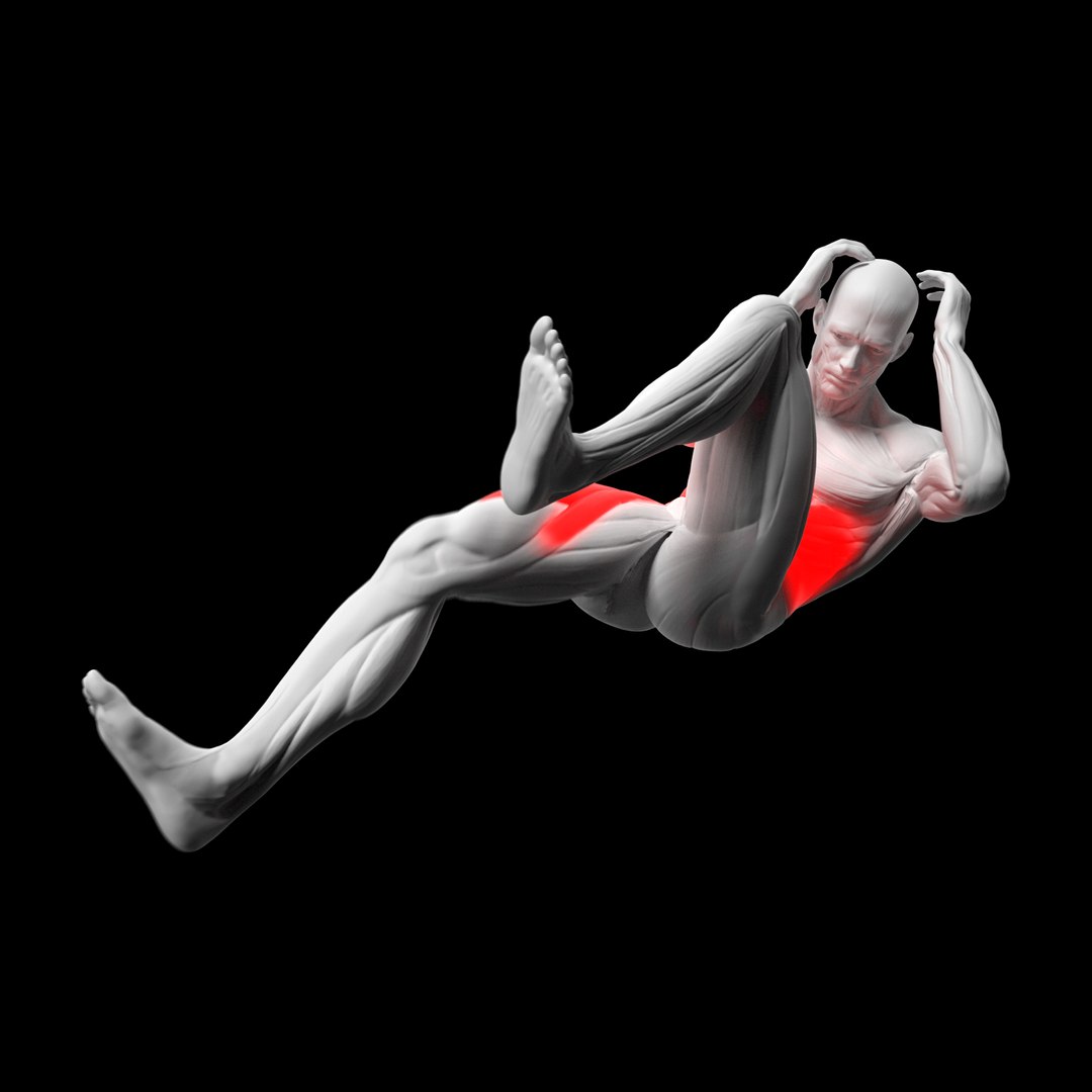 Gym Exercise Animations Pack 3D model https://p.turbosquid.com/ts-thumb/KN/xODIUV/eX/w/png/1722333743/1920x1080/fit_q87/1c6b5b5907018fc4f39d4ca772a5b40496db7eb8/w.jpg