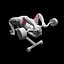 Animationspaket für Fitnessübungen