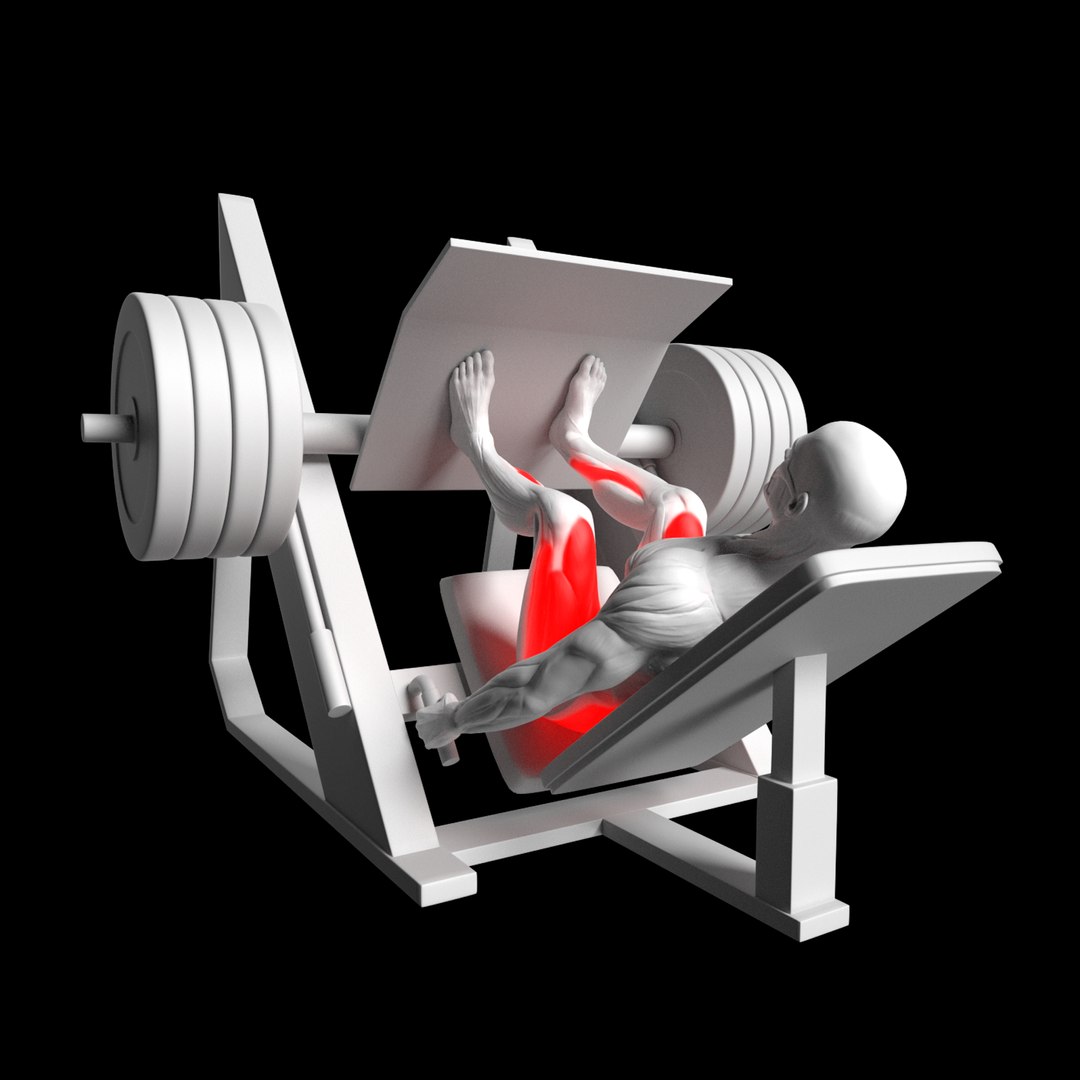 Gym Exercise Animations Pack 3D model https://p.turbosquid.com/ts-thumb/KN/xODIUV/op/13/png/1722333473/1920x1080/fit_q87/d41e14c549509a65a2ef17cd27b1967c16f31553/13.jpg