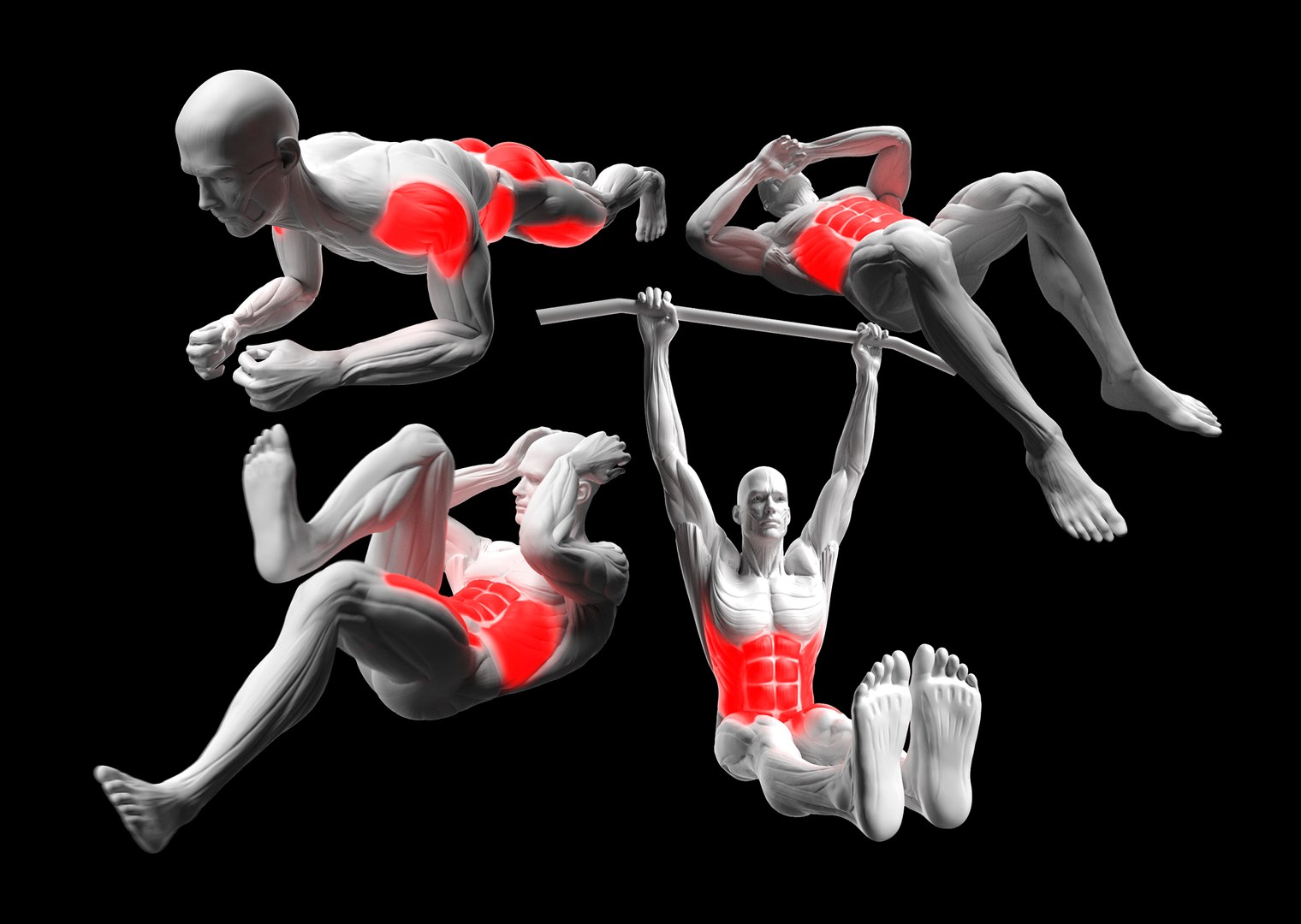 Gym Exercise Animations Pack 3D model https://p.turbosquid.com/ts-thumb/KN/xODIUV/tf/28/png/1722333335/1920x1080/fit_q87/569f273d0b9f359777a53f9efd13e71f2deb0ba2/28.jpg