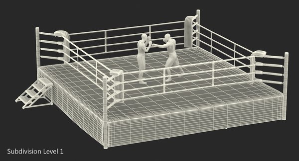 Boxers fighting boxing ring 3D model - TurboSquid 1290445