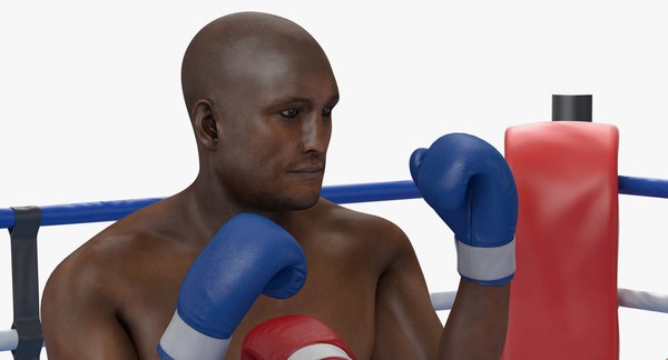 Boxers fighting boxing ring 3D model - TurboSquid 1290445