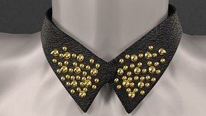 Collar accessory w spikes