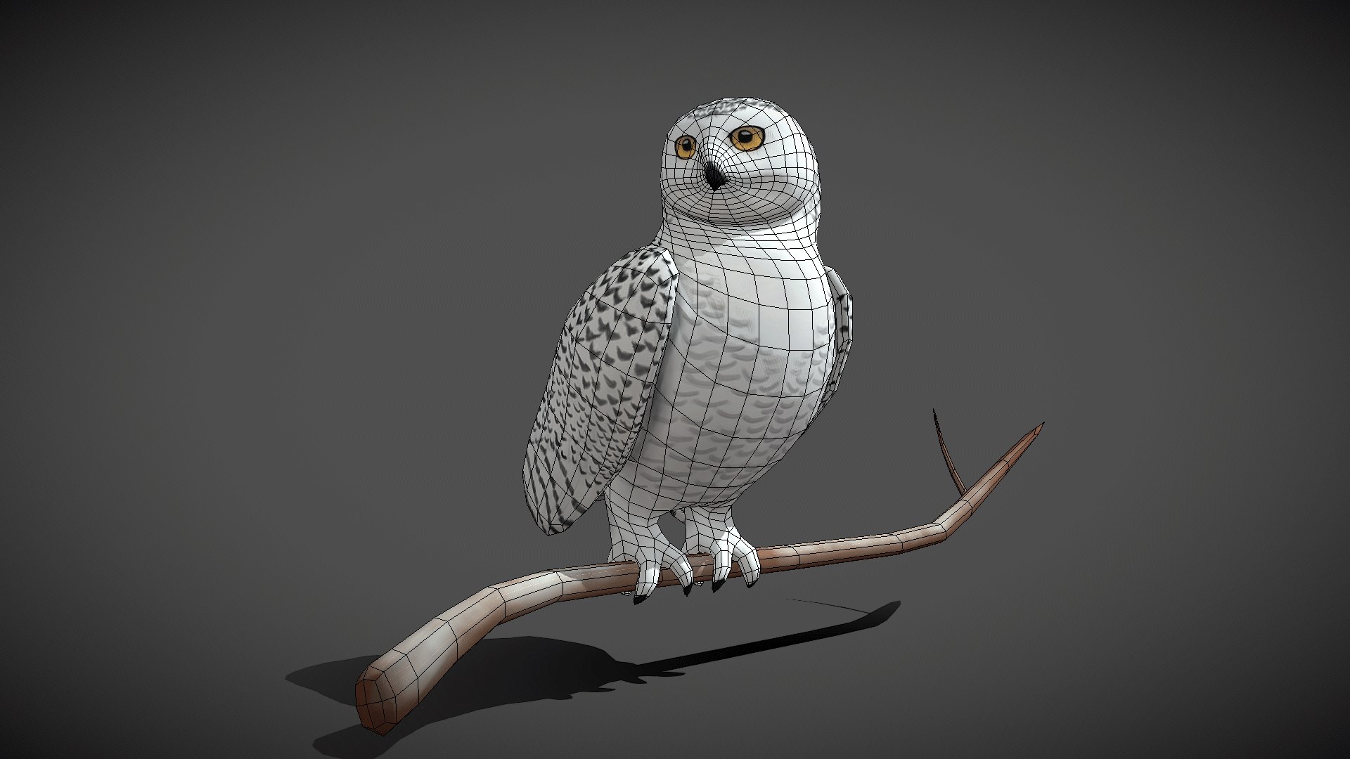 3D model rig animation https://p.turbosquid.com/ts-thumb/KO/hqUL74/hXieLb7a/snowy_owl11/png/1580184216/1920x1080/fit_q87/474732b082463d46bfcea406f539fea76d51e888/snowy_owl11.jpg