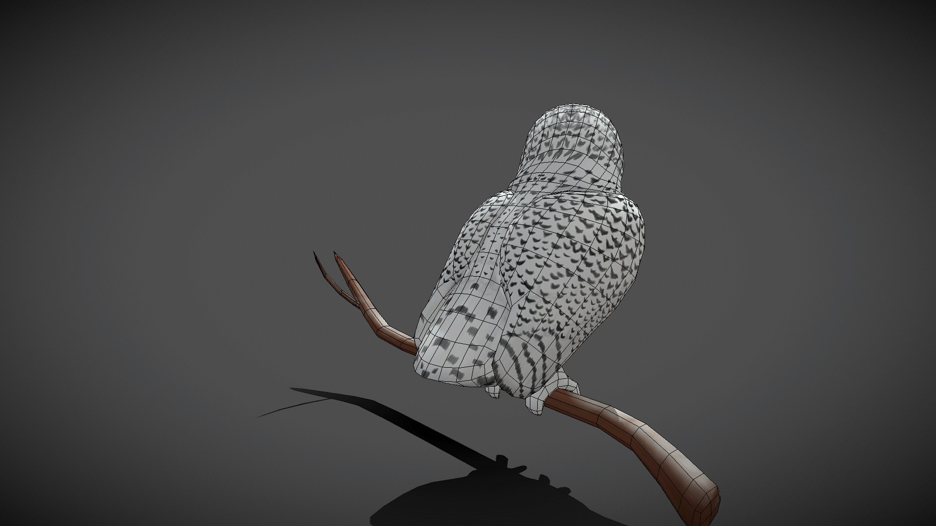 3D model rig animation https://p.turbosquid.com/ts-thumb/KO/hqUL74/zSovHzrQ/snowy_owl3/png/1580184216/1920x1080/fit_q87/d0642d46651c629f4aa1f29178a38a12b0f8b578/snowy_owl3.jpg