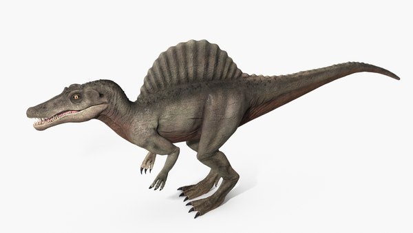 Spinosaurus - Rigged and Animated 3D - TurboSquid 1771162