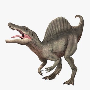 Spinosaurus - Rigged and Animated