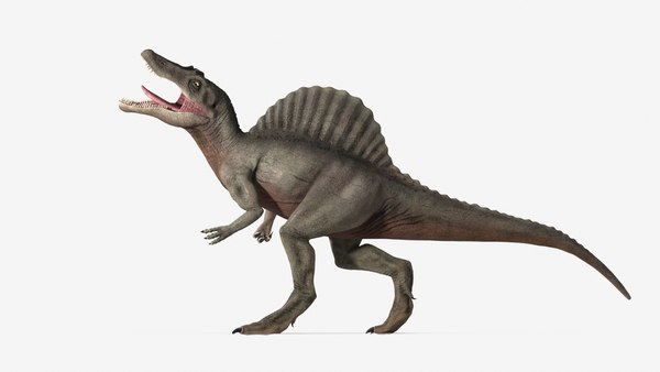 Spinosaurus - Rigged and Animated 3D - TurboSquid 1771162