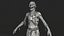 4 EINZIGARTIGE ZOMBIES PBR