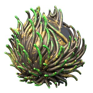 Coral reef 07 3D