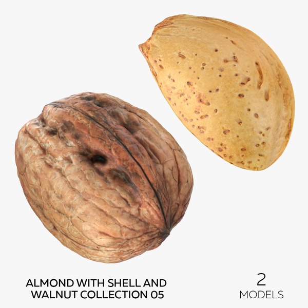 Almond With Shell and Walnut Collection 05 - 2 models 3D model