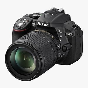 Nikon D5300  Nikkor 18-105 VR  SD 8GB Lexar Premium 3D model