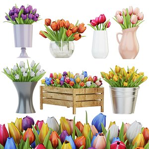3D tulip vase flower model
