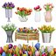 Collection de tulipes