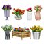 Collection de tulipes