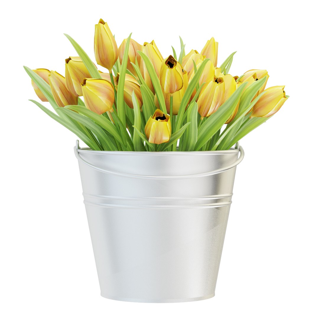 3D tulip vase flower model https://p.turbosquid.com/ts-thumb/KP/J6LX2z/qvmZiztq/4/jpg/1602153110/1920x1080/fit_q87/cca36063f64915debf38e5d0b81200ebd2254050/4.jpg
