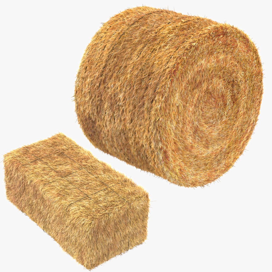 hay bales model https://p.turbosquid.com/ts-thumb/KP/L1abST/E2ismrL5/hay_bales_collection_002/jpg/1502458123/1920x1080/fit_q87/f85cf4a8b963faf8b809afc8154b9bea0d5167dc/hay_bales_collection_002.jpg
