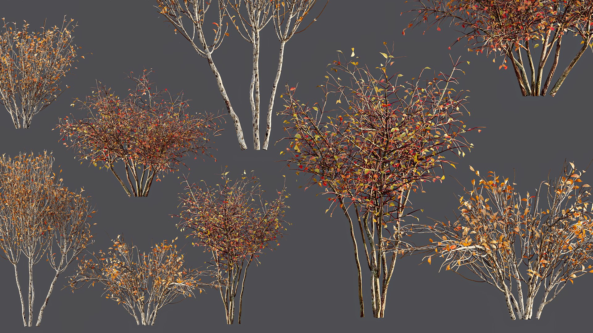 AV fall bushes Myrtle White Autumn 3D model https://p.turbosquid.com/ts-thumb/KP/L6wfil/1a/05/png/1780306886/1920x1080/fit_q87/01cce711bbaaed069ce5716add06e7bc7e884320/05.jpg