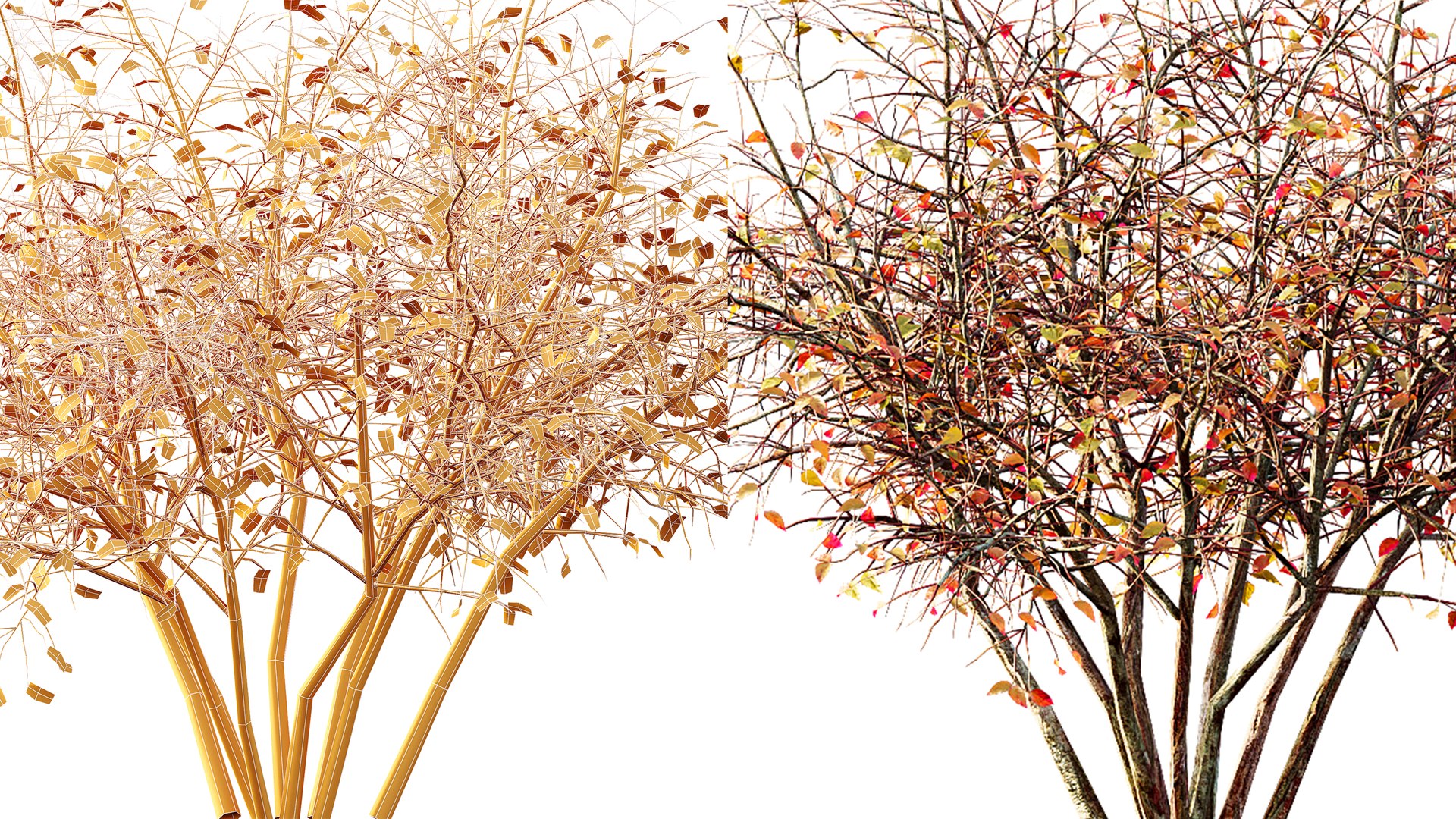 AV fall bushes Myrtle White Autumn 3D model https://p.turbosquid.com/ts-thumb/KP/L6wfil/6F/07/png/1780306888/1920x1080/fit_q87/c0c3546ba3e21897f3d04a2fe5d8be015f02e281/07.jpg