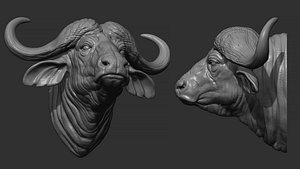 3D Buffalo  head