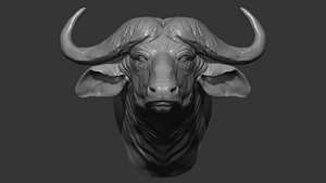 3D Buffalo  head
