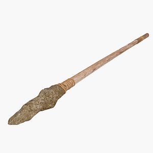 Prehistoric Spear