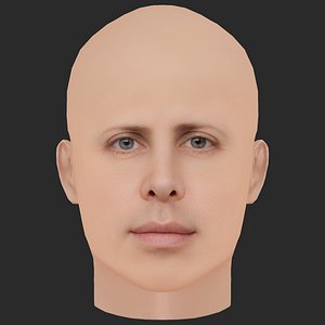 Low Poly Sam Altman Head 3D model
