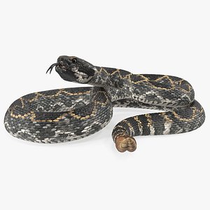 giant dark rattlesnake snake 3D model