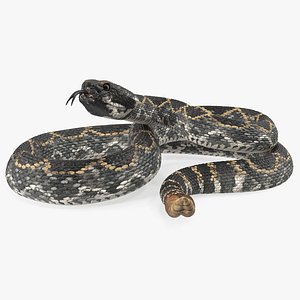 Giant Dark Rattlesnake Rigged