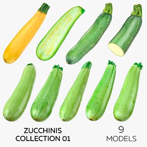 9 Zucchinis Collection 01 3D model