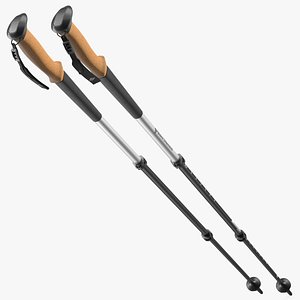 Idle White Black Diamond Carbon Trekking-Poles
