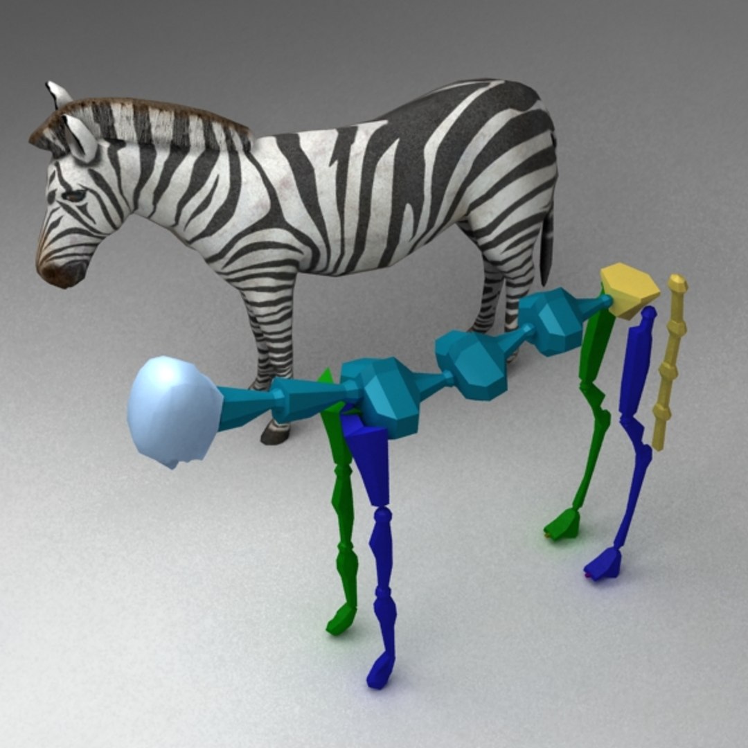 3d Model Rigged Zebra