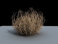 tumbleweed